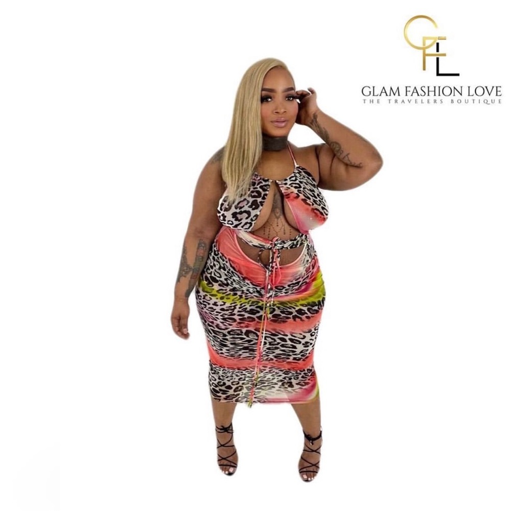 Mesh + Size multi color dress